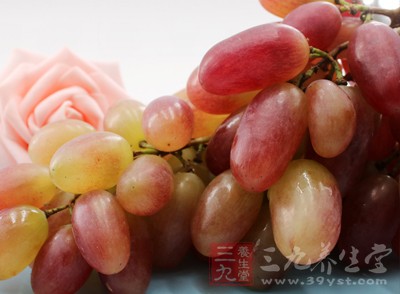 【BJL平台官网】莱万14分钟大四喜 拜仁6-0狂胜锁头名出线(图1) BJL平台官网